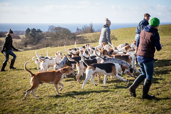 33 - Walking the Hounds 33 - Walking the Hounds