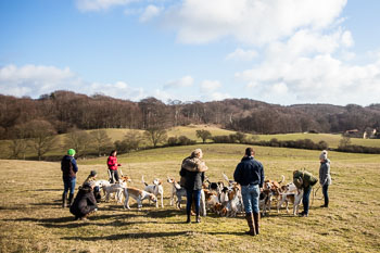 33 - Walking the Hounds 33 - Walking the Hounds