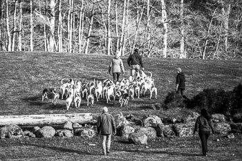 33 - Walking the Hounds 33 - Walking the Hounds