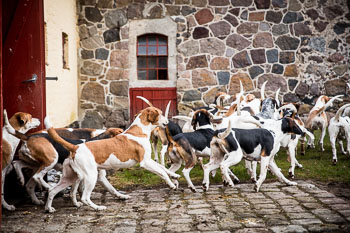 34 - Meutearbeit Møn 