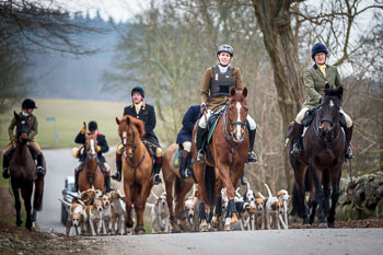 34 - Meutearbeit Møn 