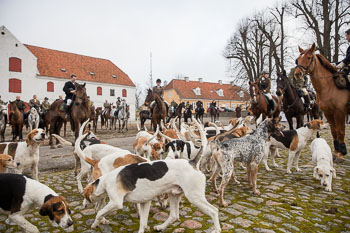 34 - Meutearbeit Møn 