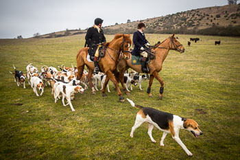 34 - Meutearbeit Møn 