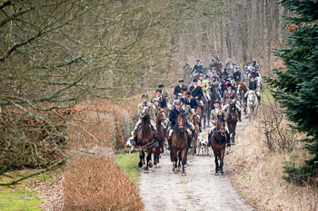 34 - Meutearbeit Møn 