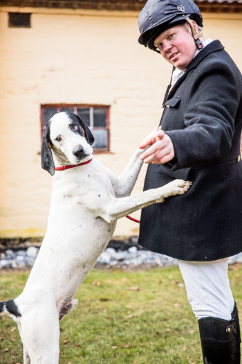35 - Hounds go to church