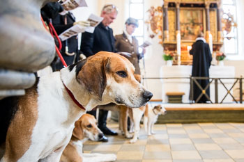 35 - Hounds go to church 35 - Hounds go to church