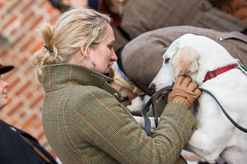 35 - Hounds go to church