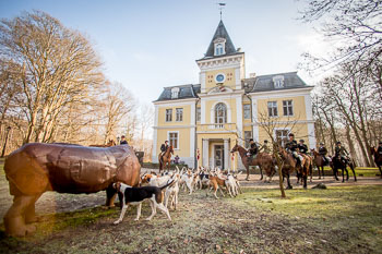 36 - Meutearbeit Møn