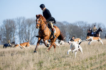 36 - Meutearbeit Møn