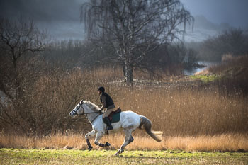 36 - Meutearbeit Møn