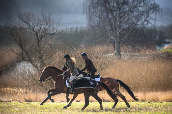 36 - Meutearbeit Møn