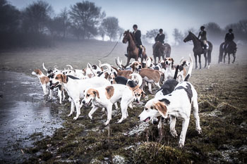 36 - Meutearbeit Møn