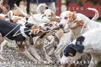 03 - Meutearbeit & Kirche Møn