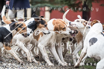 03 - Meutearbeit & Kirche Møn