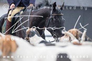 04 - Meutearbeit Møn