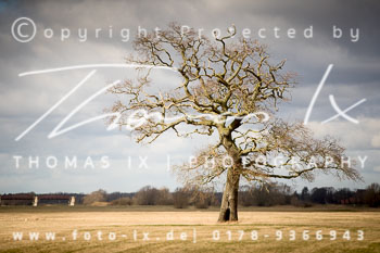 06 - Schleppjagd Langendorf (NM)