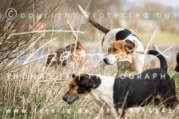 06 - Schleppjagd Langendorf (NM)