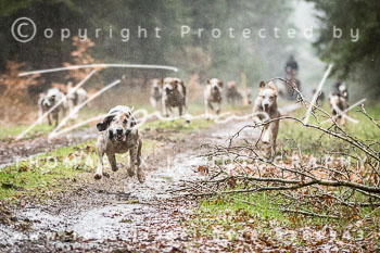 07 - Meutearbeit Einemhof