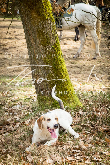 08 - Meutearbeit Uhlenbusch 08 - Meutearbeit Uhlenbusch