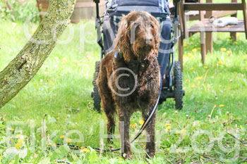 09 - Picknick Gut Schnede