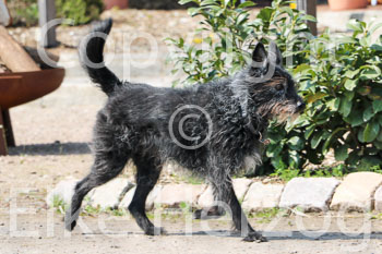 09 - Picknick Gut Schnede
