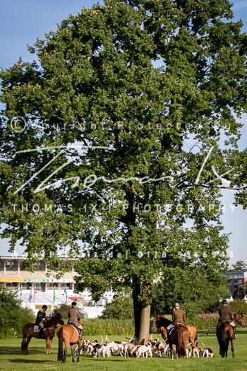 10 - Meutearbeit Horner Rennbahn