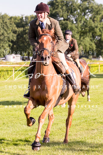 10 - Meutearbeit Horner Rennbahn