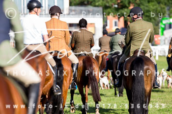 10 - Meutearbeit Horner Rennbahn