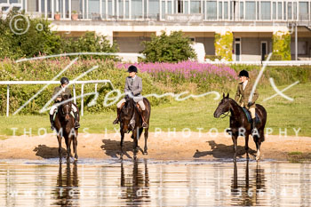 10 - Meutearbeit Horner Rennbahn 10 - Meutearbeit Horner Rennbahn