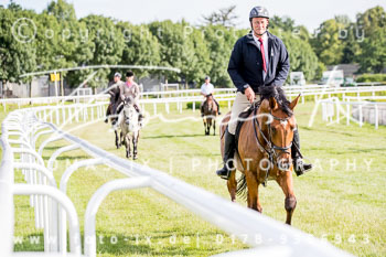 10 - Meutearbeit Horner Rennbahn