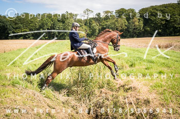 11 - Schleppjagd Steinhorst