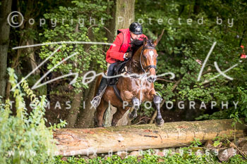 12 - Schleppjagd Rohlfshagen