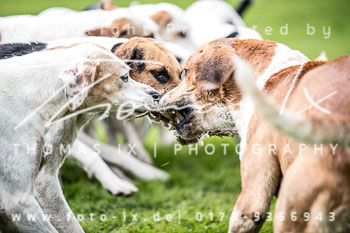 13 - Damenjagd Gut Bsthorst