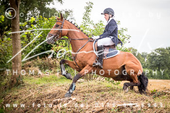 14 - Jagd Basthorst 14 - Jagd Basthorst
