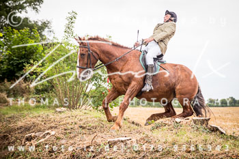 14 - Jagd Basthorst 14 - Jagd Basthorst