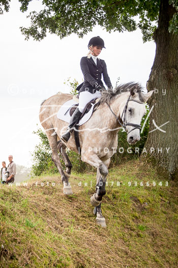 14 - Jagd Basthorst 14 - Jagd Basthorst