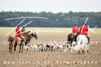 14 - Jagd Basthorst 14 - Jagd Basthorst