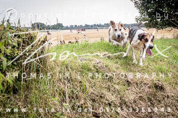 14 - Jagd Basthorst 14 - Jagd Basthorst
