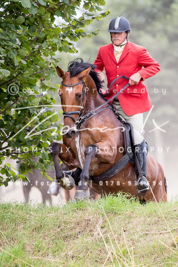 14 - Jagd Basthorst 14 - Jagd Basthorst