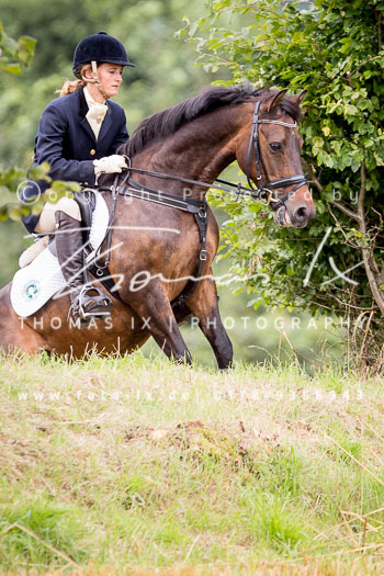 14 - Jagd Basthorst 14 - Jagd Basthorst