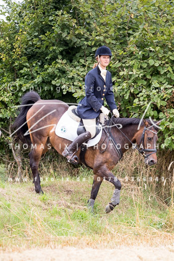 14 - Jagd Basthorst