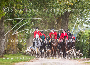 14 - Jagd Basthorst 14 - Jagd Basthorst