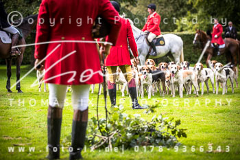 14 - Jagd Basthorst 14 - Jagd Basthorst
