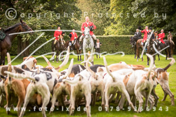 14 - Jagd Basthorst 14 - Jagd Basthorst