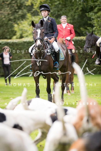 14 - Jagd Basthorst 14 - Jagd Basthorst
