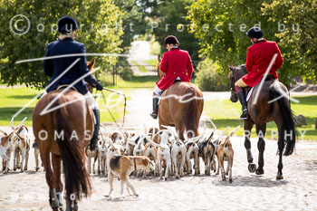 15 Jagd Kleefeld 15 Jagd Kleefeld