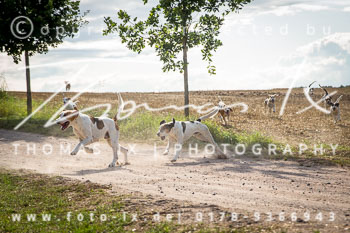 15 Jagd Kleefeld