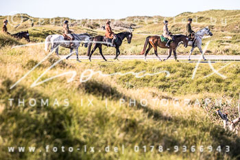 16 Jagd Norderney 16 Jagd Norderney
