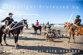16 Jagd Norderney 16 Jagd Norderney