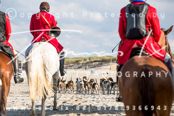 16 Jagd Norderney 16 Jagd Norderney
